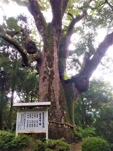 稲佐神社の自然
