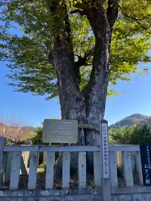 村國神社(岐阜県)