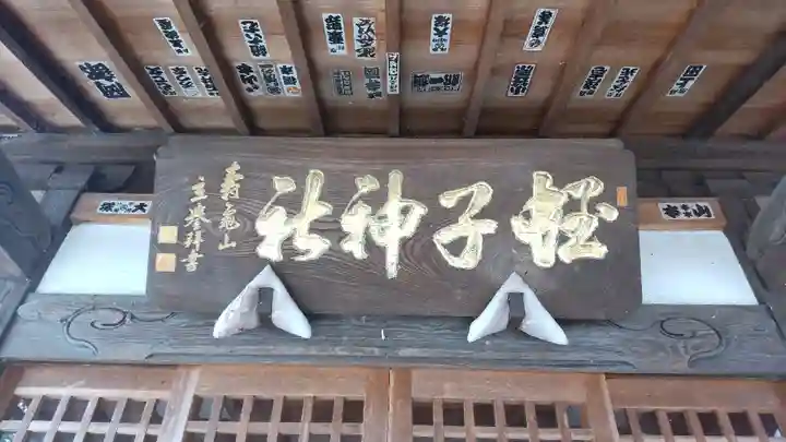 蛭兒神社(茨城県)