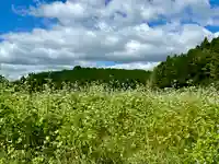 丹生都比売神社(和歌山県)