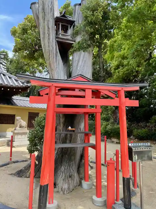 中臣須牟地神社(大阪府)
