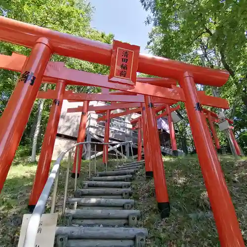 清田稲荷神社の鳥居