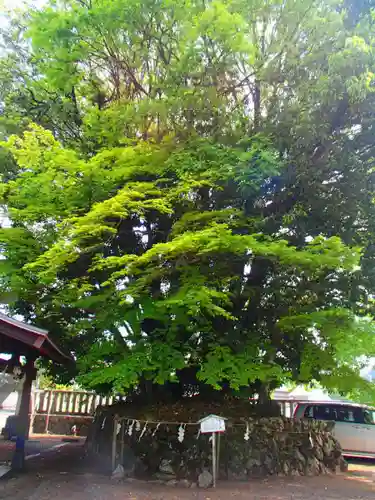 貴船神社の自然