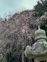 伏木香取神社の自然