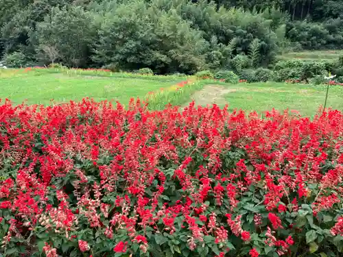 宝城坊(神奈川県)