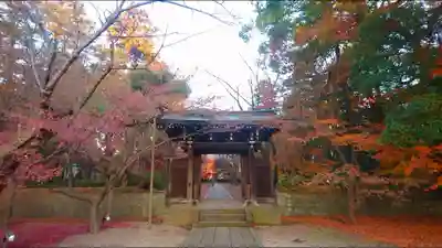 東漸寺の山門・神門
