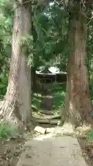 三輪神社の自然