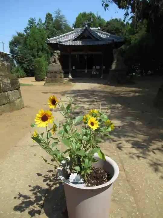 伏木香取神社(茨城県)