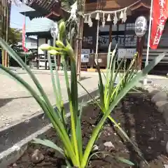 七重浜海津見神社(北海道)