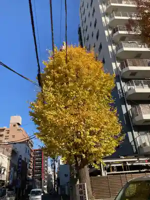 恵比寿神社の自然