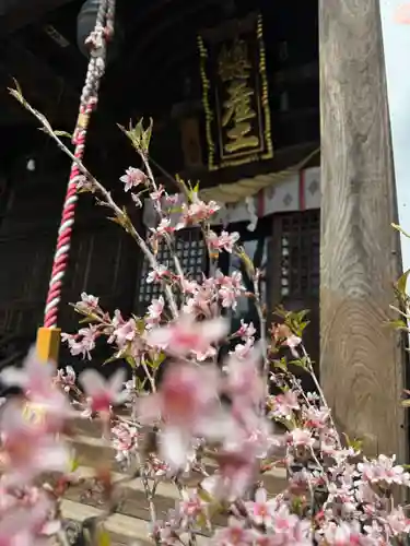 阿邪訶根神社の御朱印