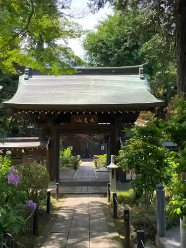 妙楽寺の山門・神門