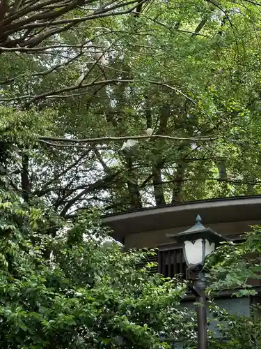 靖國神社(東京都)