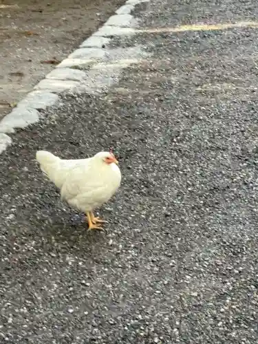 伊勢神宮外宮（豊受大神宮）(三重県)