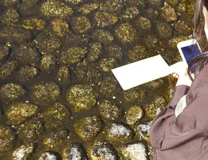 賀茂御祖神社(下鴨神社)のおみくじ