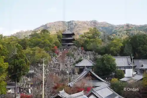 くろ谷 金戒光明寺の景色