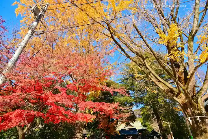 桐生天満宮(群馬県)
