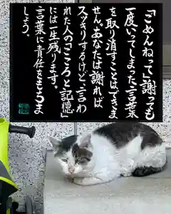 専念寺(大阪府)(2022年11月21日(月) 19時17分01秒投稿)