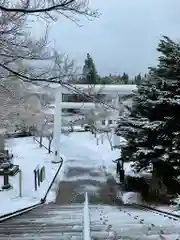 土津神社｜こどもと出世の神さまの鳥居