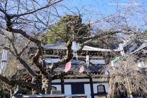長谷寺のその他建物