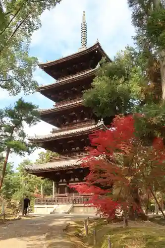 仁和寺の塔