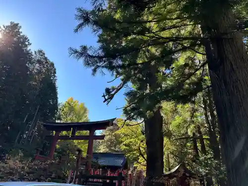 北口本宮冨士浅間神社(山梨県)