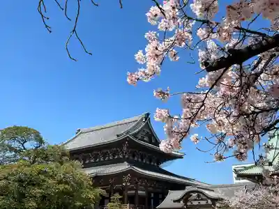 真宗大谷派名古屋別院(愛知県)