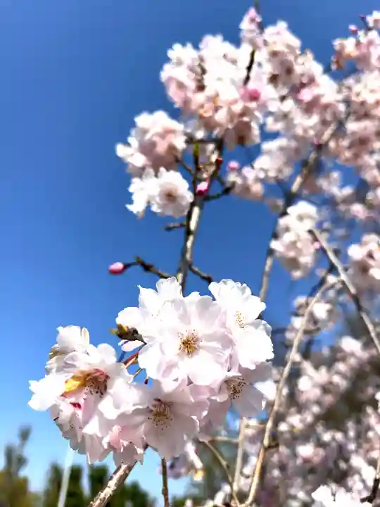武蔵第六天神社(埼玉県)