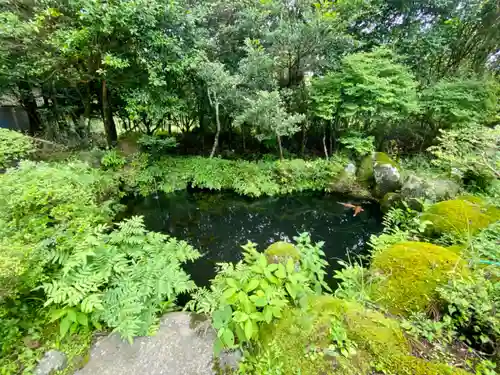 駒形神社（箱根神社摂社）(神奈川県)