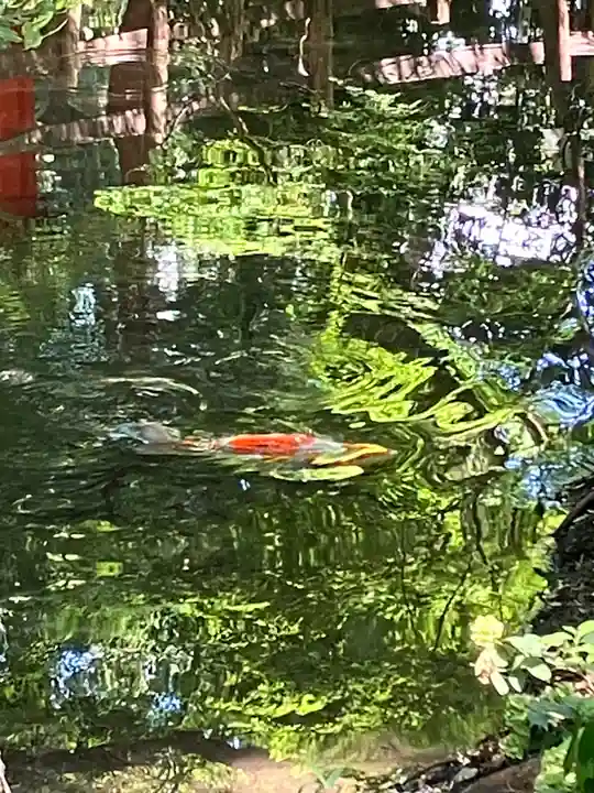 賀茂御祖神社(下鴨神社)(京都府)