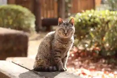 玉野御嶽神社(愛知県)