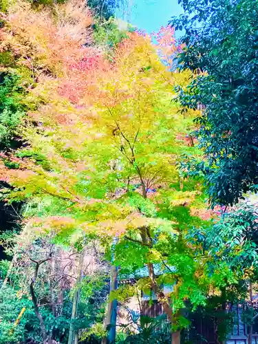 高瀧神社(千葉県)