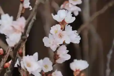 阿邪訶根神社の授与品その他