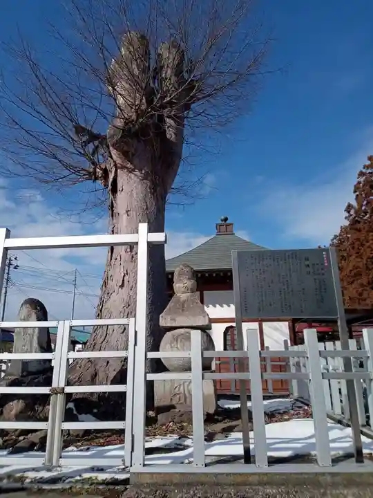 清龍寺(福島県)