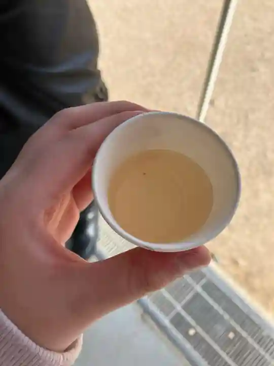 大聖院弥山本堂の{uncategorized: "未分類", other: "その他", undefined: "問題あり", building: "その他建物", grave: "お墓", sacred_gate: "鳥居", guardian: "狛犬", statue: "像", buddha: "仏像", history: "歴史", nature: "自然", garden: "庭園", animal: "動物", pagoda: "塔", temizu: "手水舎", mountain_gate: "山門・神門", sanctuary: "本殿・本堂", subordinate: "末社・摂社", art: "芸術", scenery: "景色", jizo: "地蔵", ema: "絵馬", goshuin: "御朱印", omikuji: "おみくじ", items: "授与品その他", amulet: "お守り", goshuincho: "御朱印帳", eats: "食事", festival: "お祭り", votive_dance: "神楽", shichigosan: "七五三参", wedding: "結婚式", experience: "体験その他", initially: "初詣", around: "周辺", anti_infection: "感染症対策"}