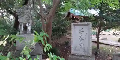 吾妻神社の狛犬