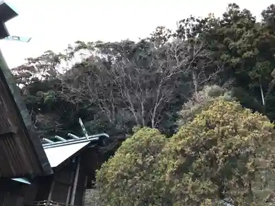 高皇産靈神社の周辺