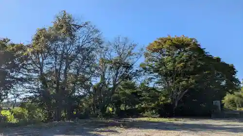 大山祇神社の自然