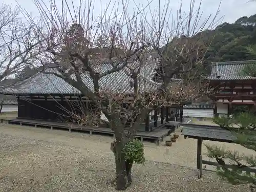 金剛寺(大阪府)