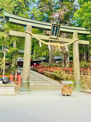 日光二荒山神社の{uncategorized: "未分類", other: "その他", undefined: "問題あり", building: "その他建物", grave: "お墓", sacred_gate: "鳥居", guardian: "狛犬", statue: "像", buddha: "仏像", history: "歴史", nature: "自然", garden: "庭園", animal: "動物", pagoda: "塔", temizu: "手水舎", mountain_gate: "山門・神門", sanctuary: "本殿・本堂", subordinate: "末社・摂社", art: "芸術", scenery: "景色", jizo: "地蔵", ema: "絵馬", goshuin: "御朱印", omikuji: "おみくじ", items: "授与品その他", amulet: "お守り", goshuincho: "御朱印帳", eats: "食事", festival: "お祭り", votive_dance: "神楽", shichigosan: "七五三参", wedding: "結婚式", experience: "体験その他", initially: "初詣", around: "周辺", anti_infection: "感染症対策"}