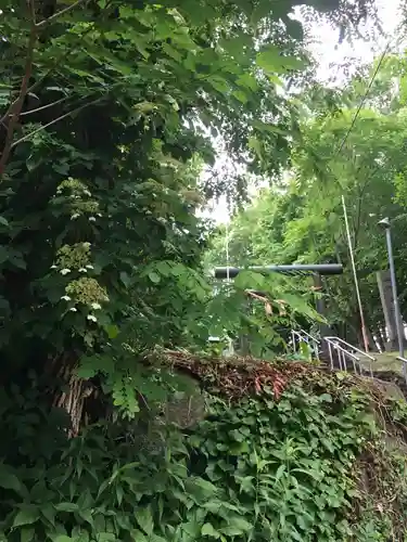 上野幌神社の自然