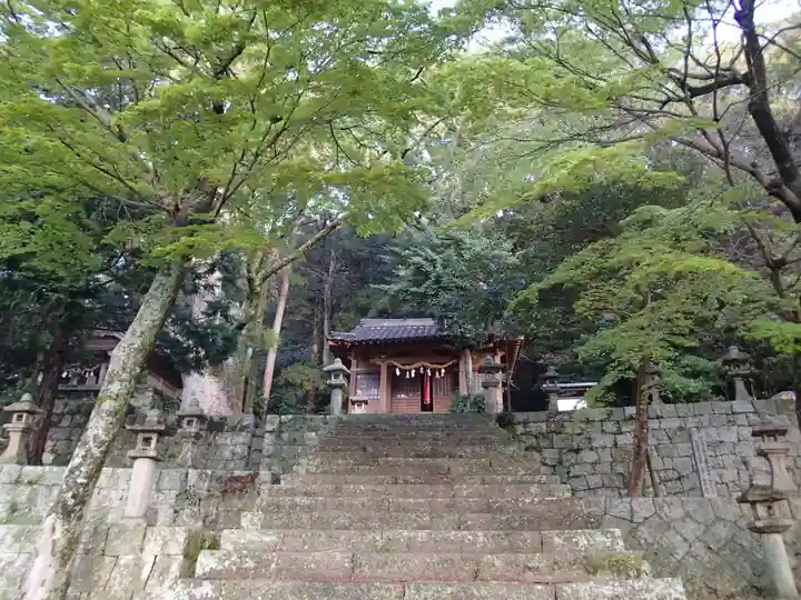 厳原八幡宮神社の本殿・本堂