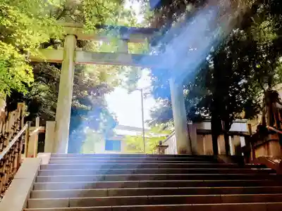 渋谷氷川神社の鳥居