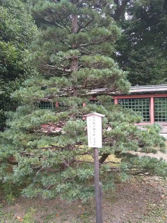 志波彦神社・鹽竈神社(宮城県)