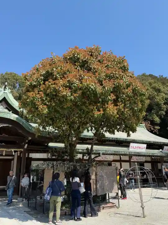 宮地嶽神社の{uncategorized: "未分類", other: "その他", undefined: "問題あり", building: "その他建物", grave: "お墓", sacred_gate: "鳥居", guardian: "狛犬", statue: "像", buddha: "仏像", history: "歴史", nature: "自然", garden: "庭園", animal: "動物", pagoda: "塔", temizu: "手水舎", mountain_gate: "山門・神門", sanctuary: "本殿・本堂", subordinate: "末社・摂社", art: "芸術", scenery: "景色", jizo: "地蔵", ema: "絵馬", goshuin: "御朱印", omikuji: "おみくじ", items: "授与品その他", amulet: "お守り", goshuincho: "御朱印帳", eats: "食事", festival: "お祭り", votive_dance: "神楽", shichigosan: "七五三参", wedding: "結婚式", experience: "体験その他", initially: "初詣", around: "周辺", anti_infection: "感染症対策"}