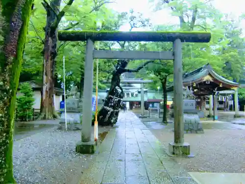 一言主神社の鳥居