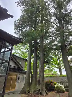 上野八幡神社(石川県)