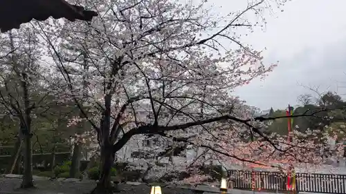 知恩院(京都府)