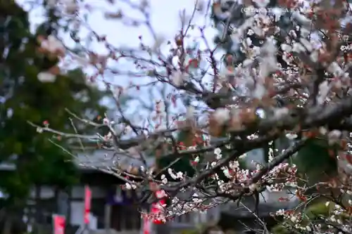 永谷天満宮(神奈川県)
