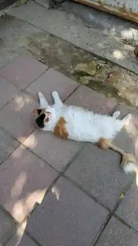 阿邪訶根神社(福島県)